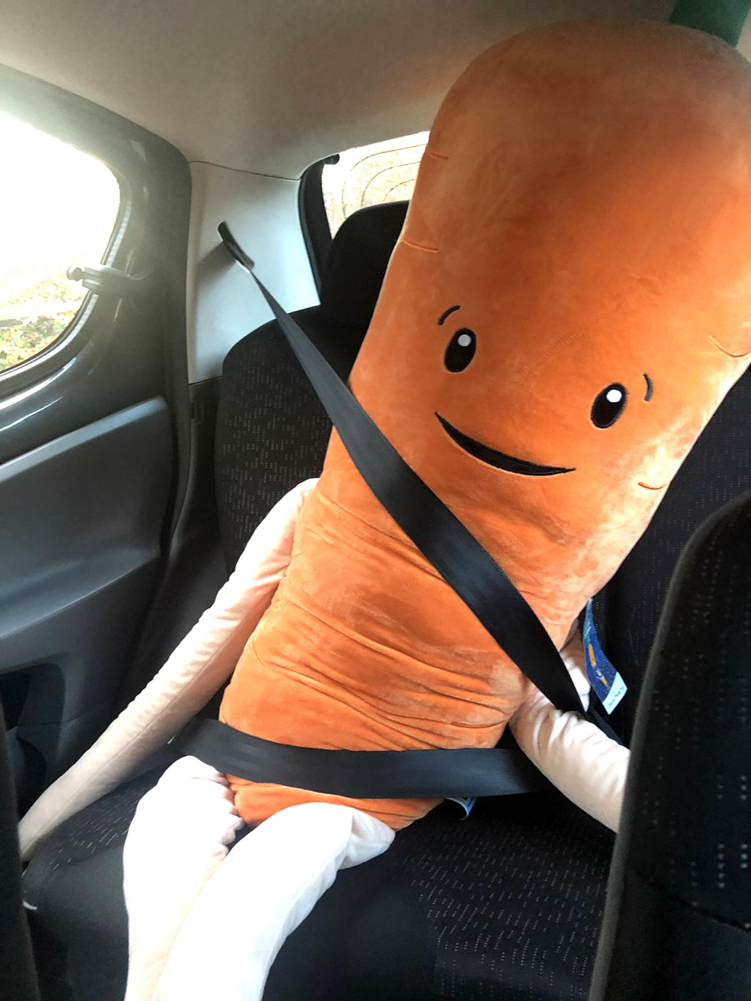 aldi soft toy carrot